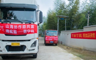 懷抱熱愛、奔赴山海~ 膳博士黑豬“遠嫁”景寧鄭坑助共富！